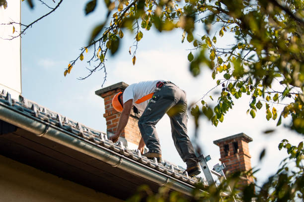 Best Roof Gutter Cleaning  in Springfield, OR