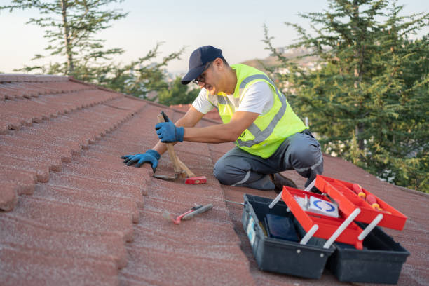 Roof Gutter Cleaning in Springfield, OR