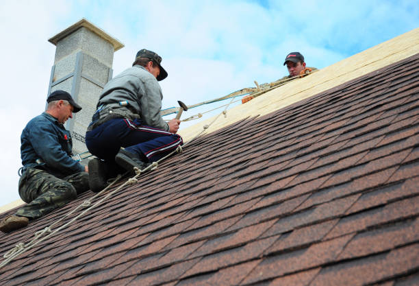 Best Affordable Roofing Company  in Springfield, OR